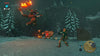 NINTENDO SWITCH THE LEGEND OF ZELDA BREATH OF THE WILD