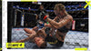 PS4 UFC 4