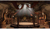 PS4 UFC 4